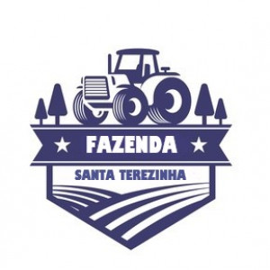 5 TRATORES VALTRA BM 100 2010 - CARRETAS - VAGÃO