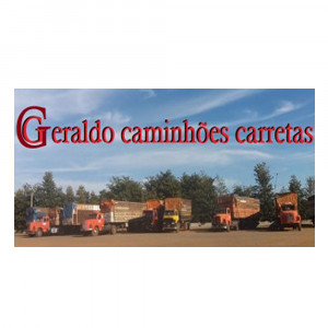 SCANIA -  FORD -  GRANELEIROS 