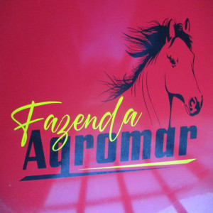 5 CAMINHÕES - 8 TRATORES - F-250 - IMPLEMENTOS - OUTROS