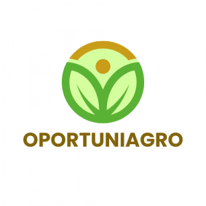 Vibro Acabadora • Caçamba • Barras de PVC • Pneus • Peças Div. • Diferencial Rockwell e Th