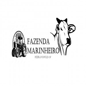 TRATORES - CAMINHÕES - PULVERIZADOR 