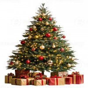 LEILÃO ONLINE DESEJA A TODOS OS CLIENTES UM NATAL CHEIO DE HARMONIA E PAZ !!!