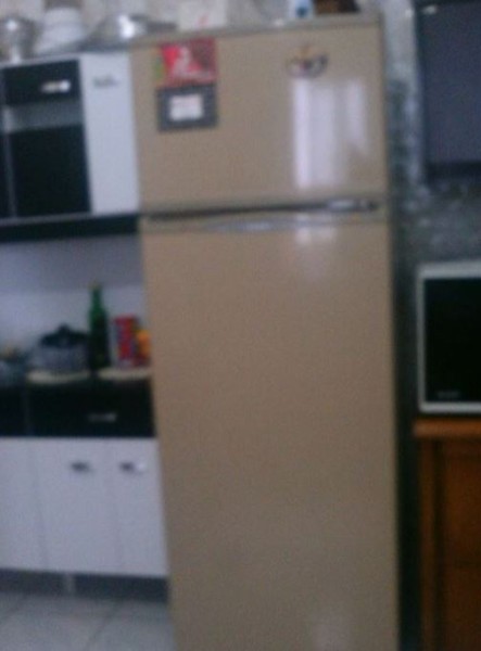  01 (uma) geladeira marca Cônsul, modelo Duplex 340, nacor bege, em bom estado de conservação, avaliada em R$700,00 (setecentos reais).